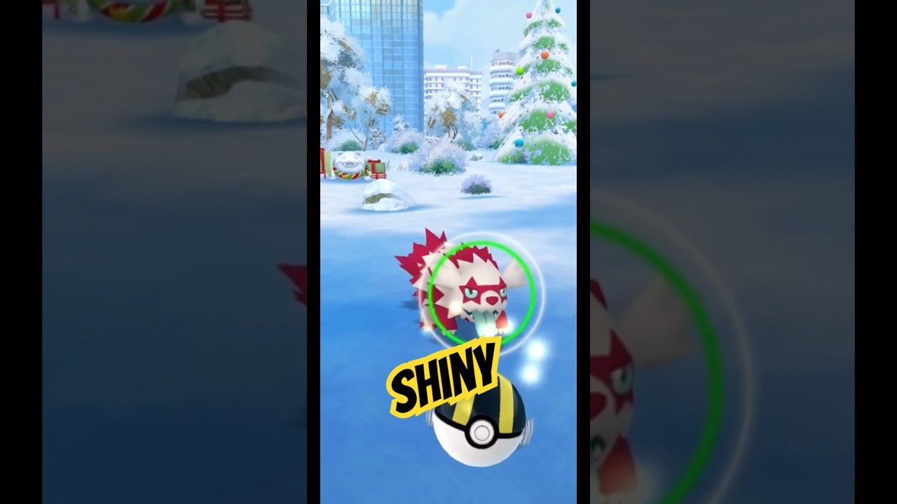 SHINY ZIGZAGOON || POKÉMON GO || EVOLUTION ||