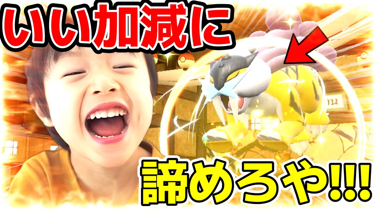 最強の"伝説ライコウ"を捕まえたゴリ押しキッズ 【ポケモン】