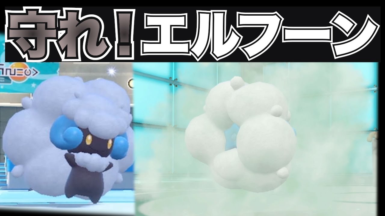 【エルフーン】防御3段階も上がるコットンガードで守り切れ！【ポケモンSV】