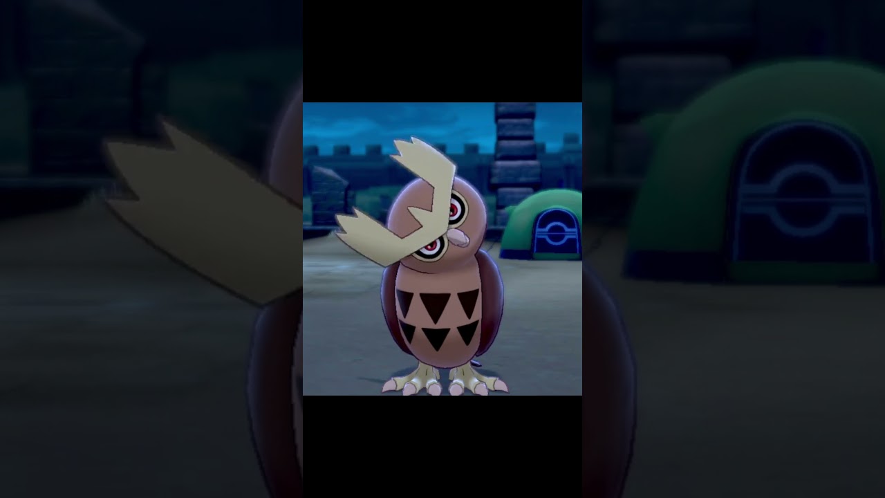 首をかしげるヨルノズク　#Shorts