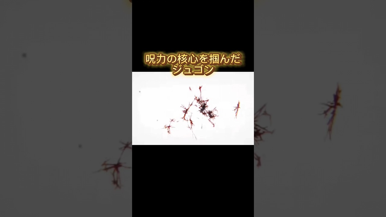 ジュゴンはクンフー賞ってとこやね#のびろ #伸びろ #ショート #ジュゴン #バウンティラッシュ #呪術廻戦 #こくせん