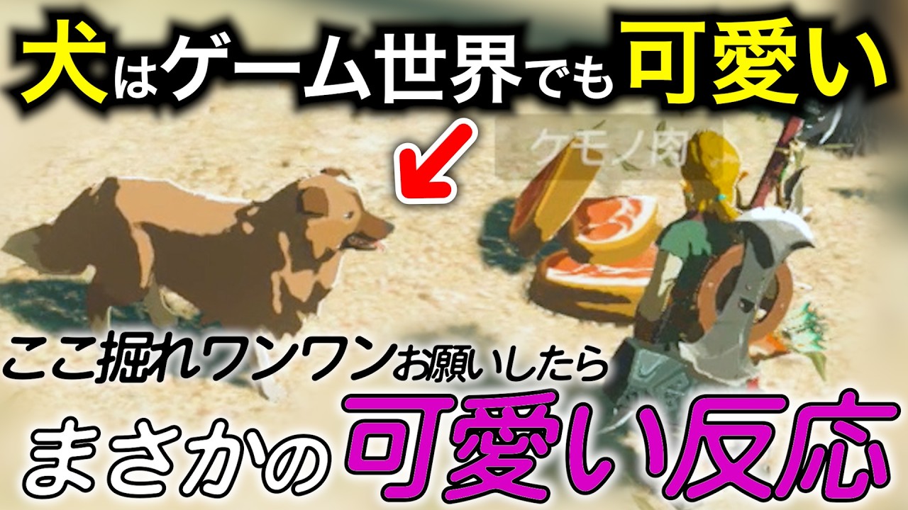 カラカラバザールには面白いこといっぱい！ ＆ 記憶の中のイーガ団が怖すぎる【ゼルダの伝説 ブレスオブザワイルド】#68