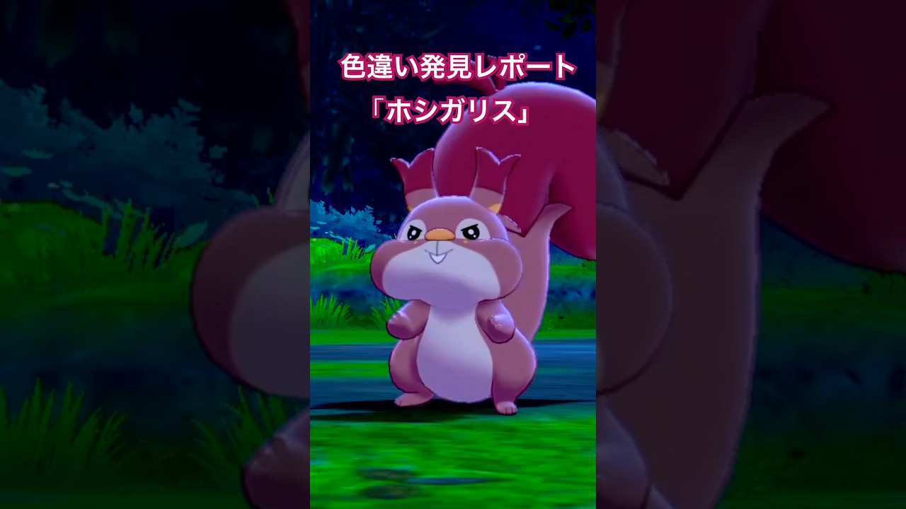 ポケモン剣盾 色違い発見レポート「ホシガリス」 #色違い