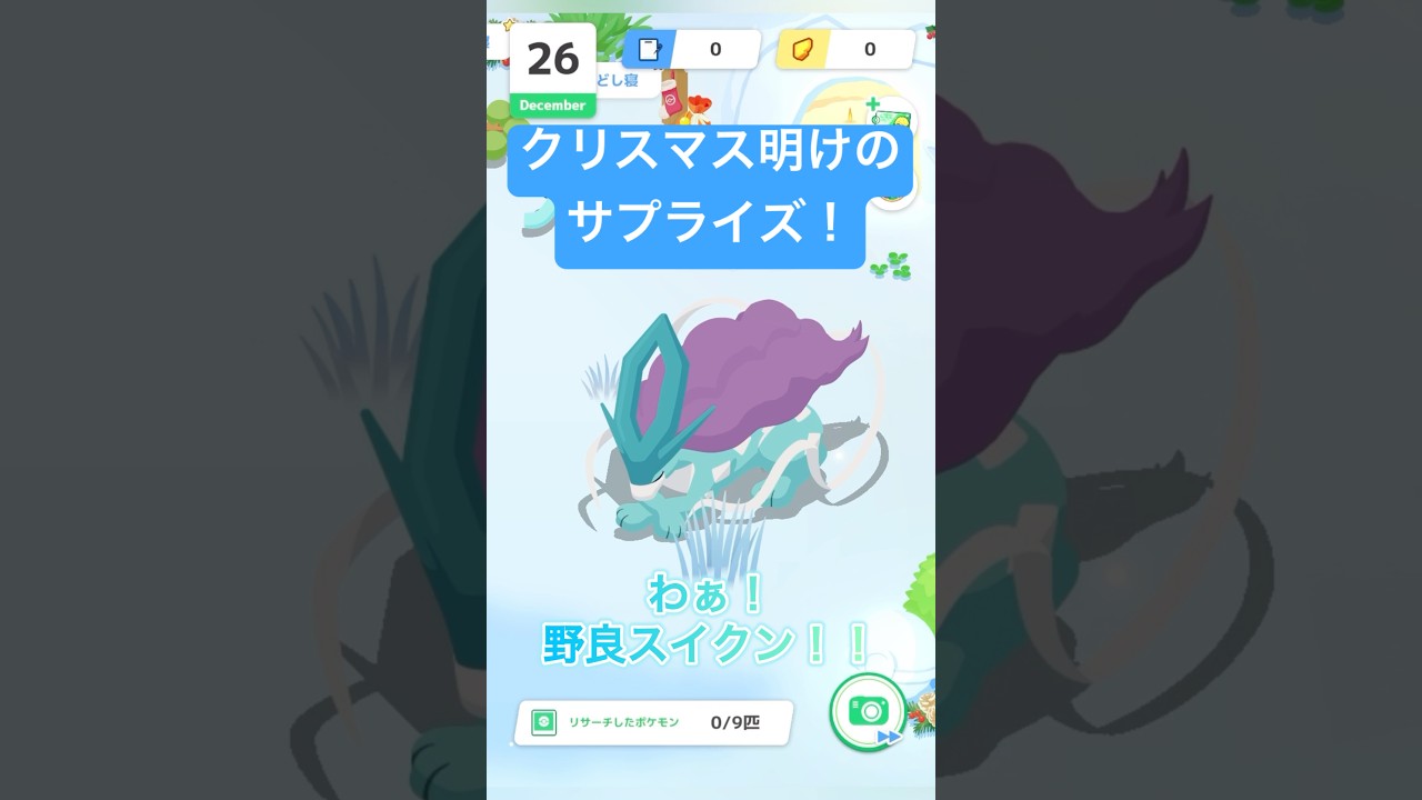 クリスマス明けのサプライズ！野良スイクンに遭遇#shorts#ポケスリ#ポケモンスリープ#ポケモン#スイクン#ポケスリ攻略#pokemonsleep#pokemon#pokémon#クリスマス#準伝説