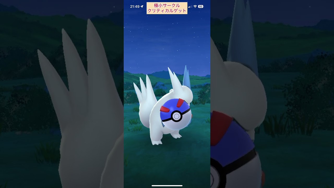 【難易度低】色違いザングース極小サークルクリティカルゲット【ポケモンGO】