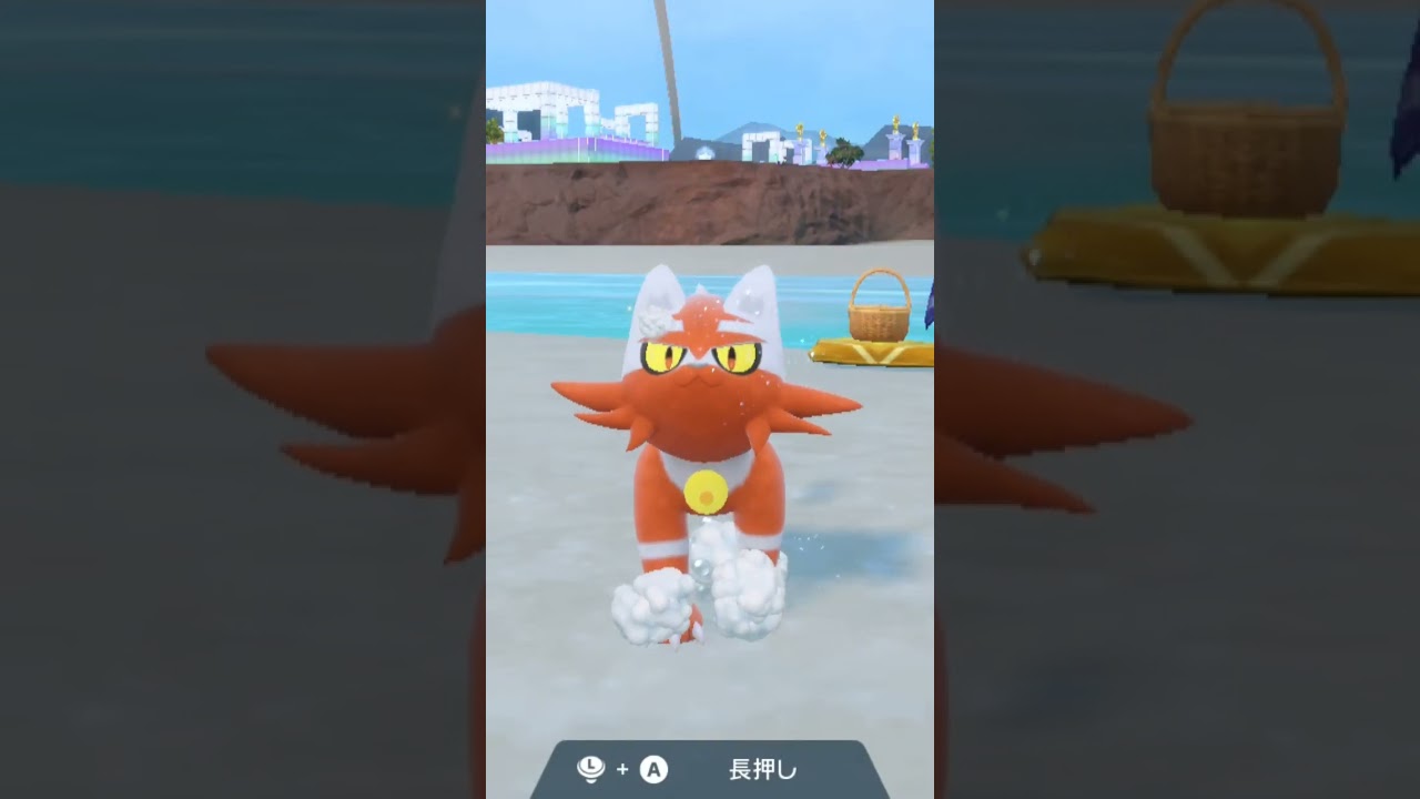 ニャヒート Torracat 色違い【ポケモンsv】