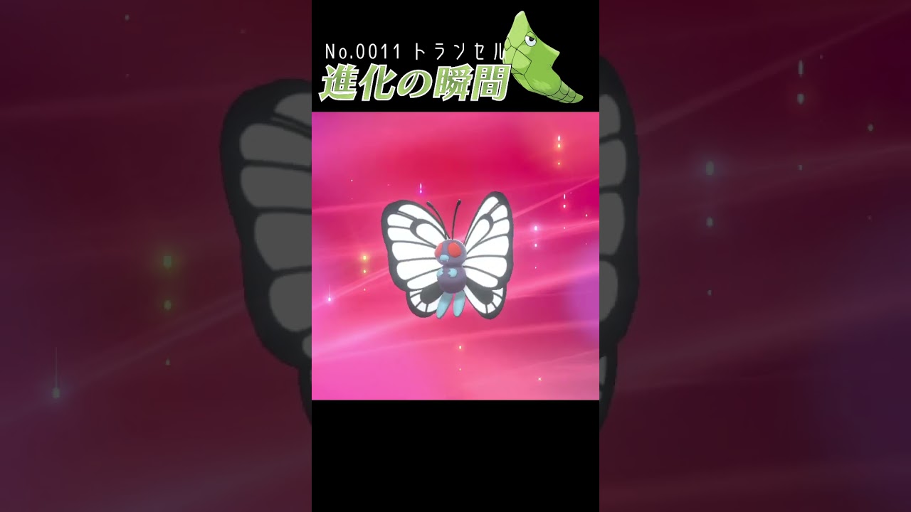 【ポケモン剣盾】トランセル 進化の瞬間 #shorts
