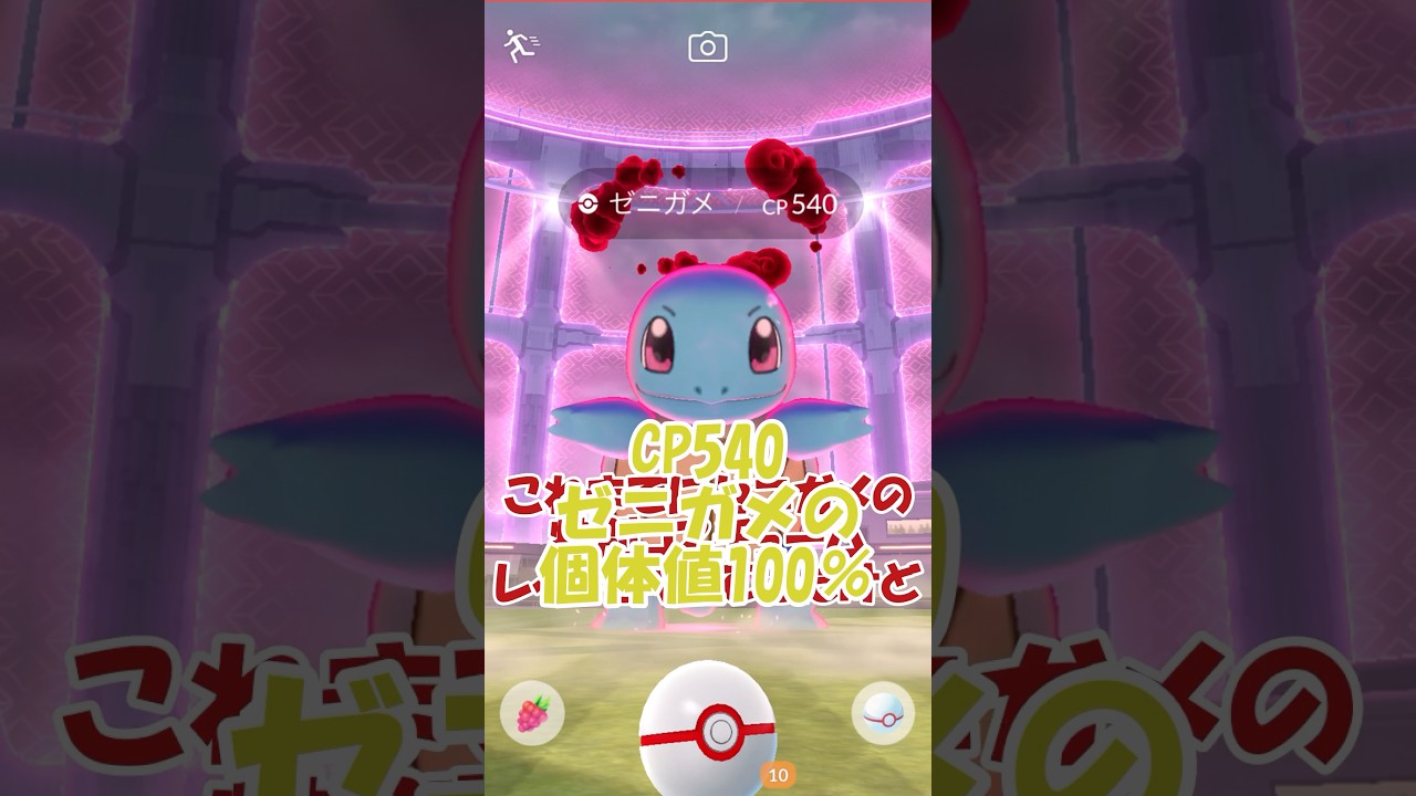 ✨ついにきた個体値100%🐢ダイマックスゼニガメ💪 #ポケモンgo #pokemongm