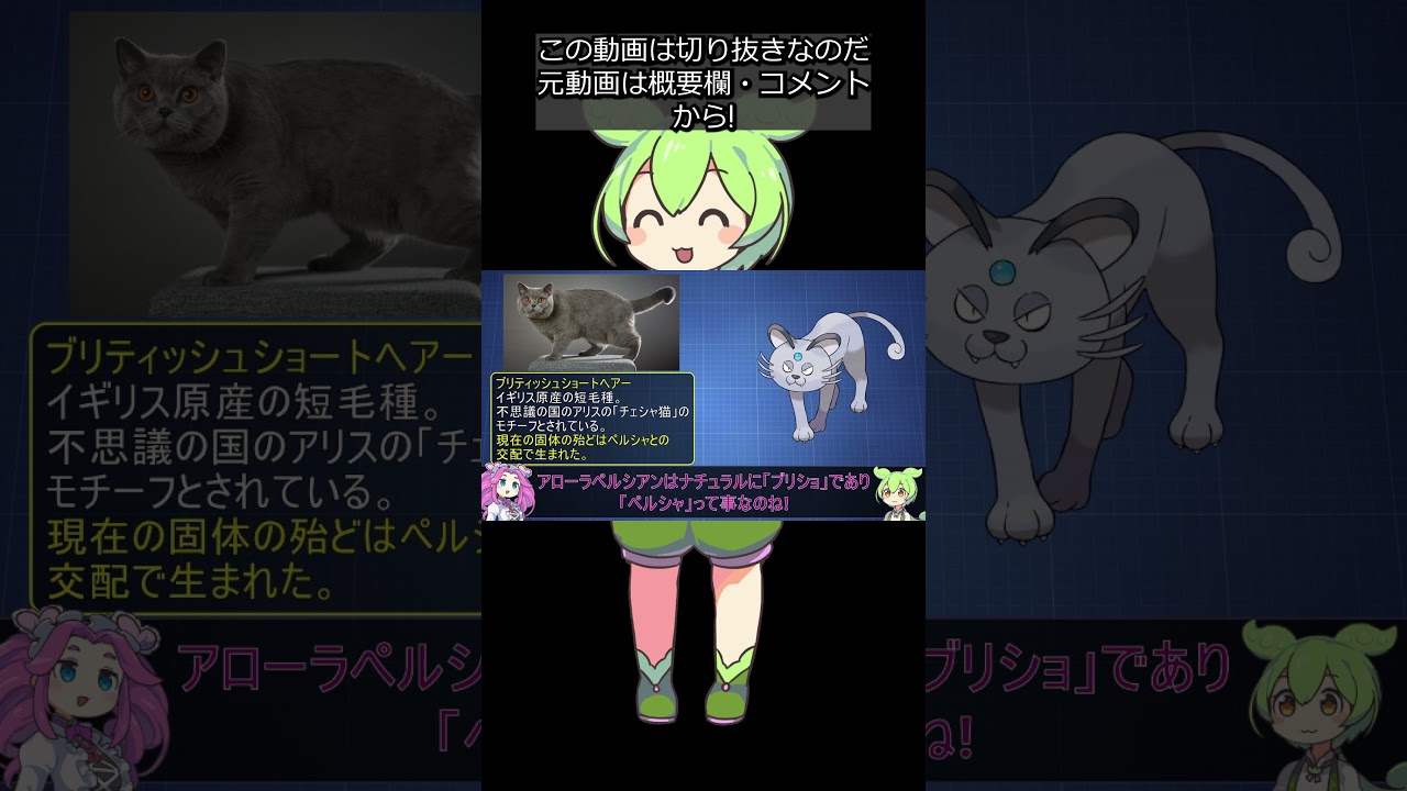 【全猫ポケモン解説②】アローラニャース＆ペルシアン #shorts #ずんだもん解説 #切り抜き
