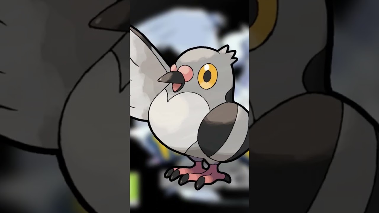 519 - Poichigeon - Pokémon Noir #Pokémon  #Pokédex #AttrapezLesTous #ShinyHunting #PokémonLore