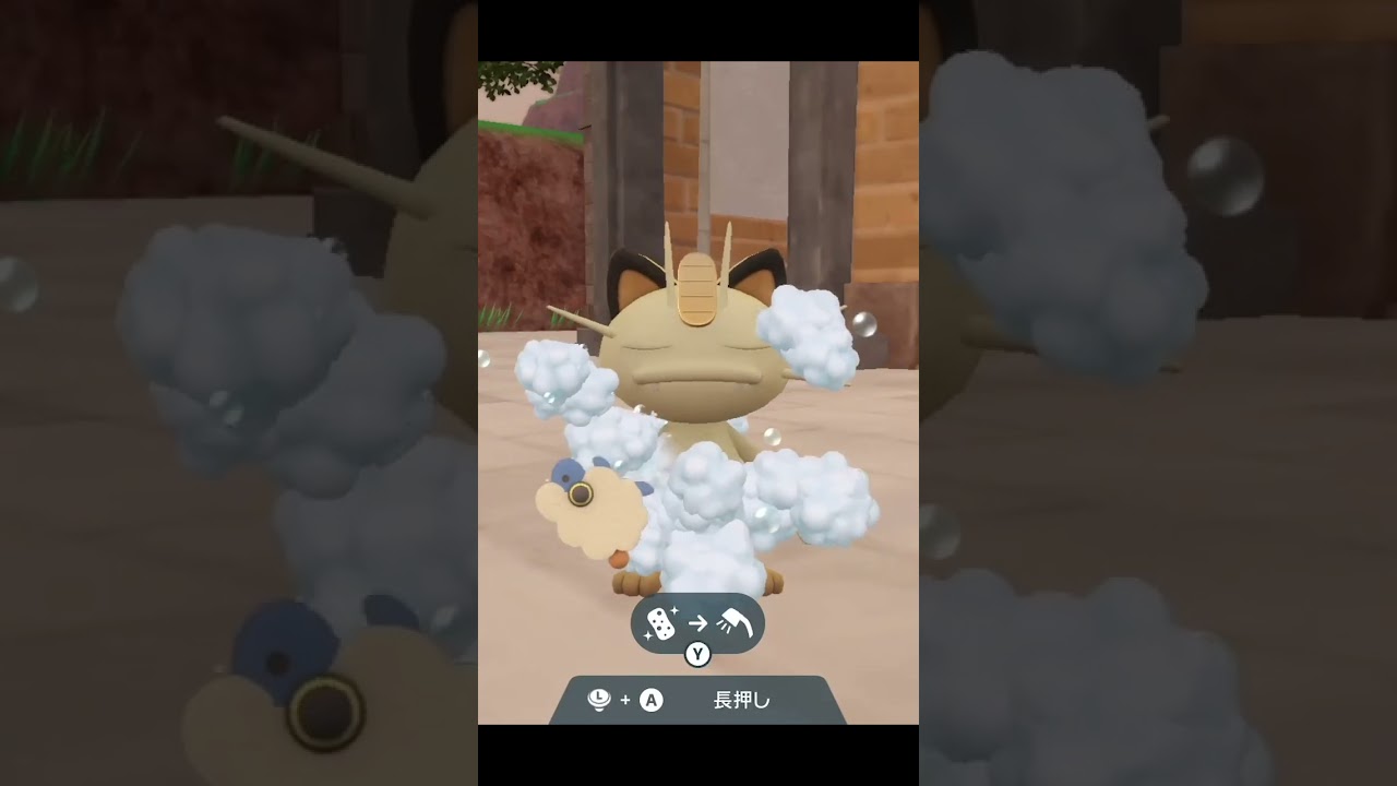 ニャースを洗うだけの動画 [ ポケモンSV Pokemon ] #shorts