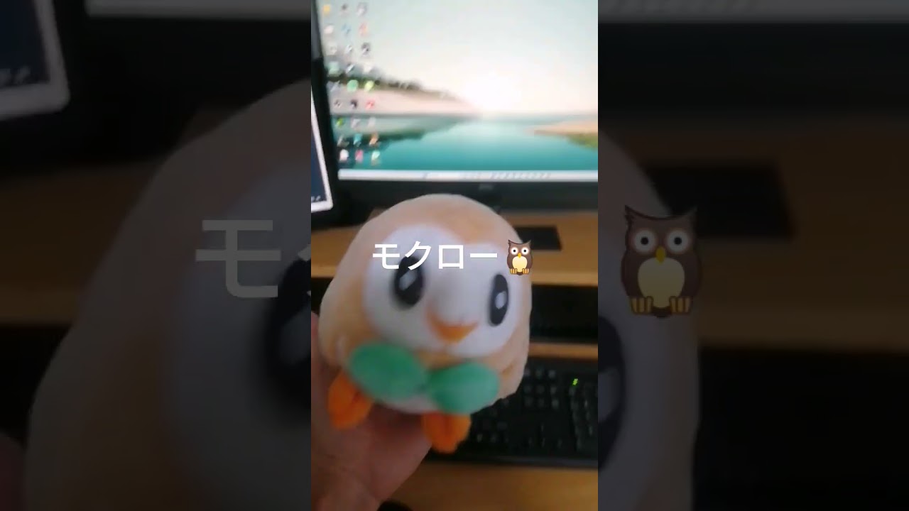 モクロー虐2【ポケモンユナイト】