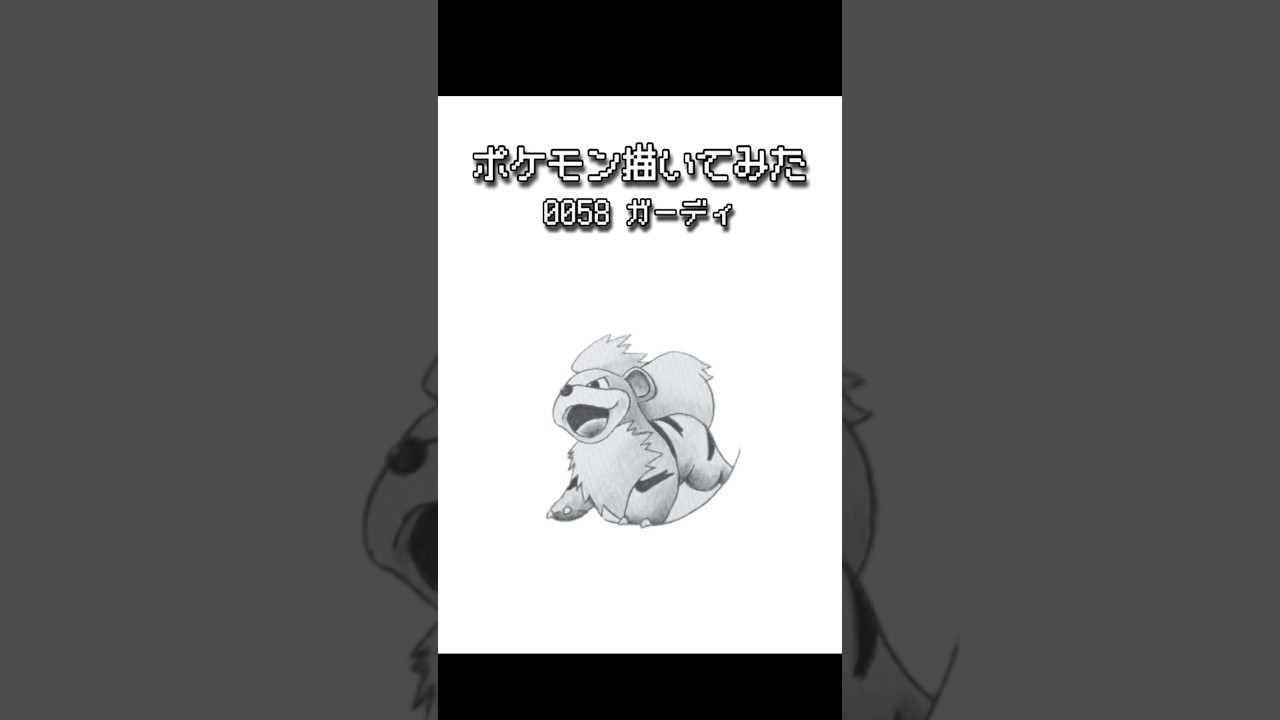 【めざせ 全国図鑑制覇！】 鉛筆で絵描くポケモンのイラスト 0058 ガーディ #ポケモン #pokemon #描く動画 #shorts
