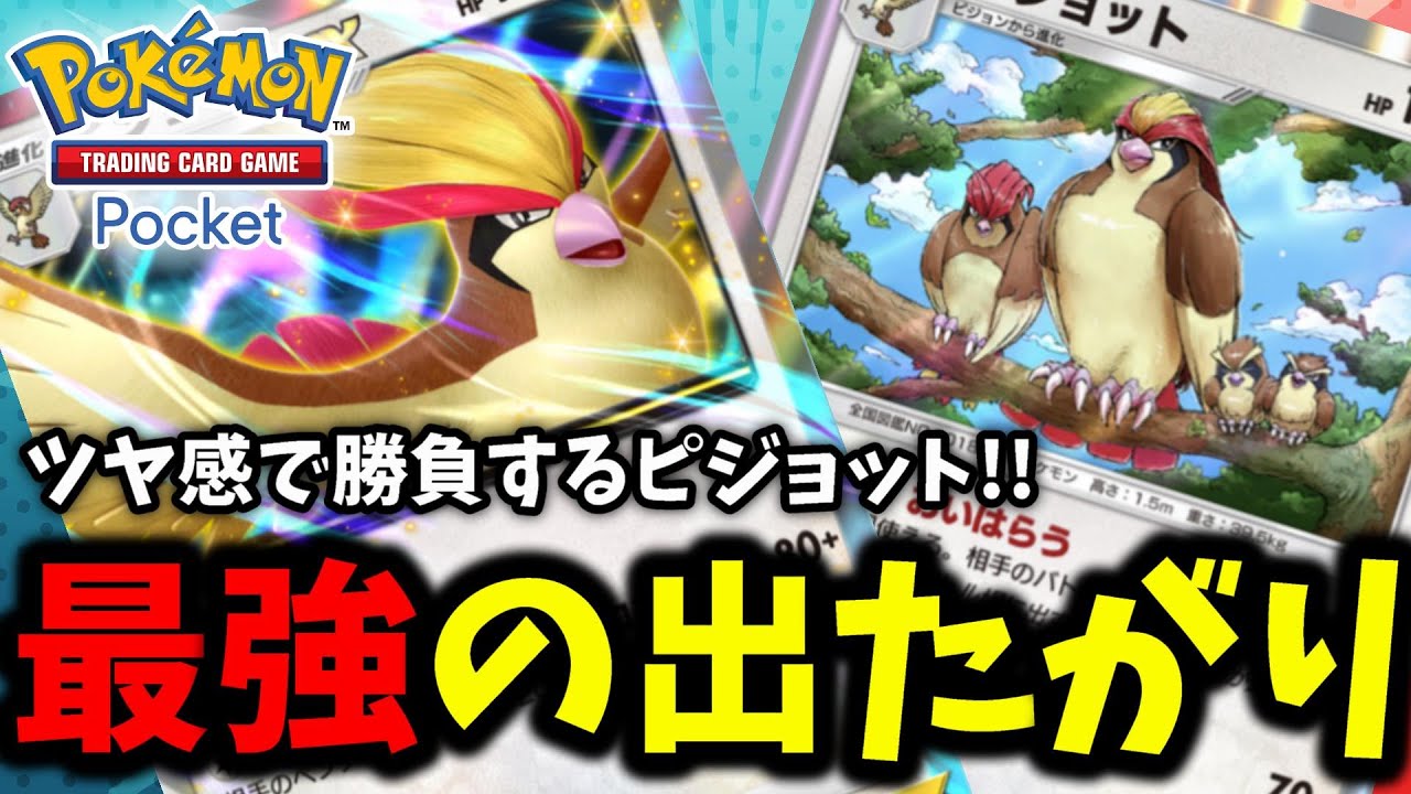 【ポケポケ】強さではなくツヤ感で勝負!!『ピジョットEX』つっても普通に強いんです!!←【Pokémon Trading Card Game Pocket】