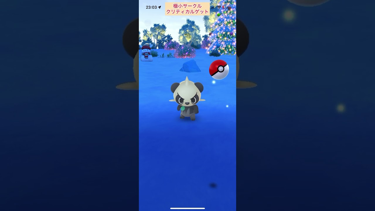 【難易度中】ヤンチャム極小サークルクリティカルゲット【ポケモンGO】