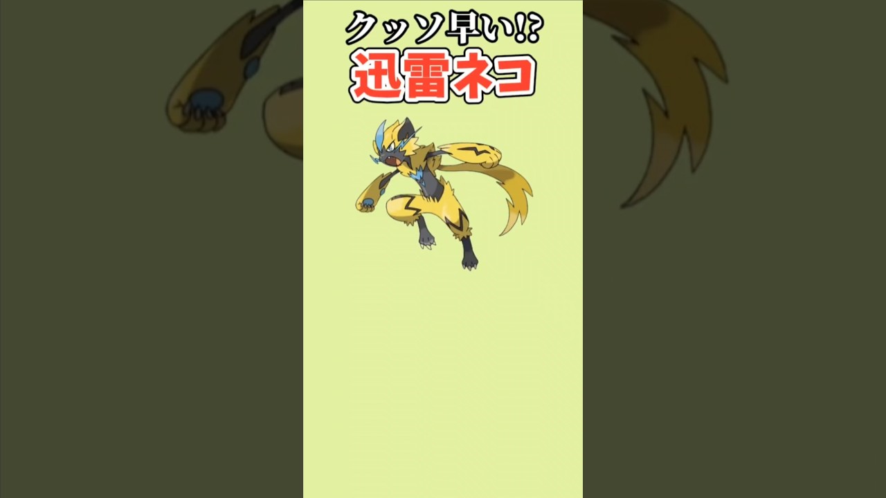 【ポケモン】クッソ早い迅雷ネコ「ゼラオラ」【ポケモン解説員】#サンムーン#ポケモン解説員