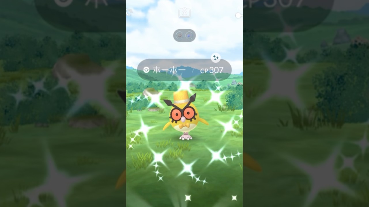 色違いハットホーホーをGET！