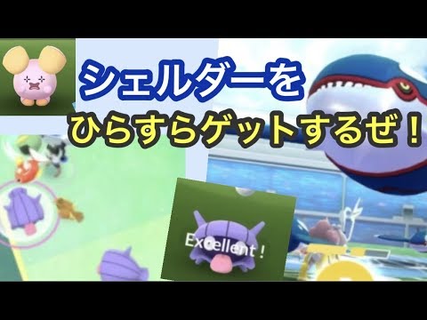 シェルダー・ホエルコを乱獲した結果は？（ポケモンGO）
