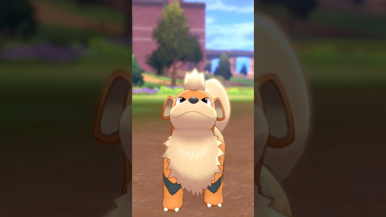 ガーディ Growlithe【ポケモン剣盾】