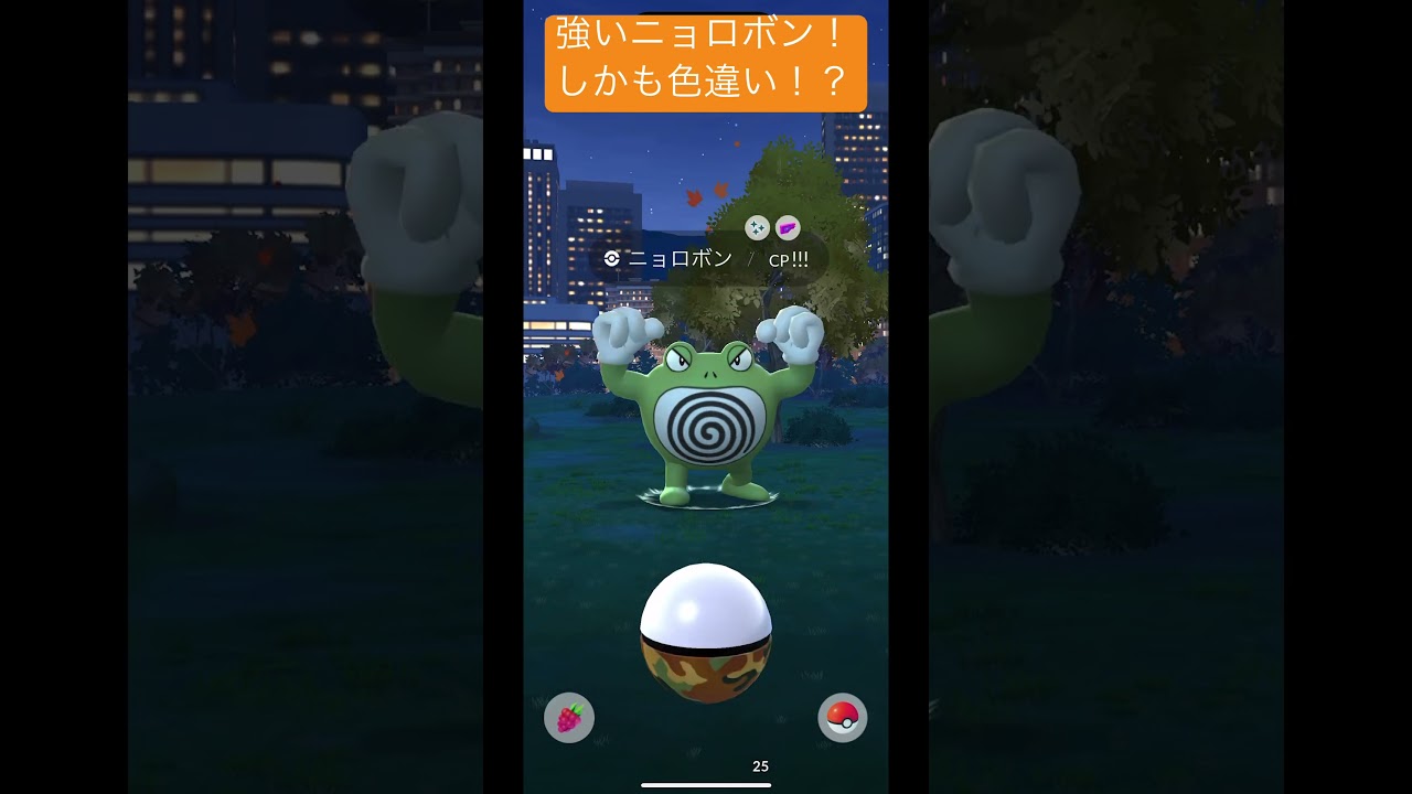 強いニョロボン色違い！サファリボールで捕まえる！#ポケモンgo #ポケモン #pokemon #pokemongo #shorts #short