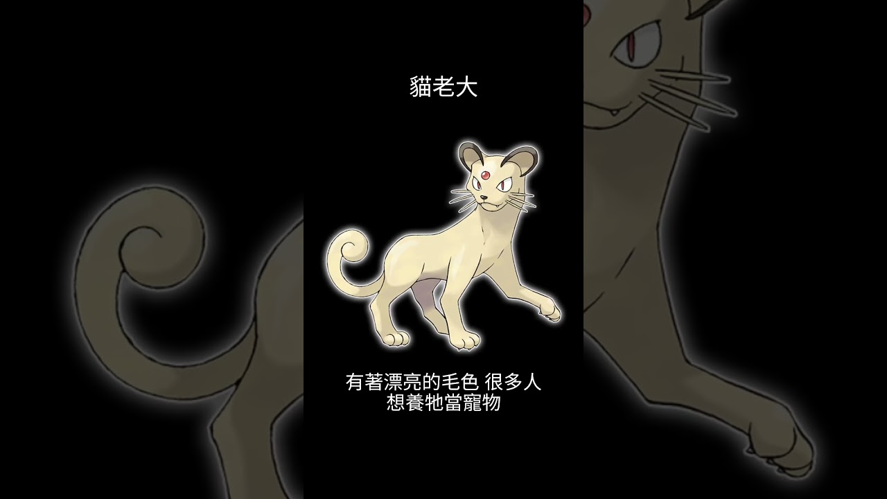寶可夢圖鑑 #pokemon No.0053 貓老大 ペルシアン Persian  #0053 #寶可夢卡牌 #pokemongo  #寶可夢朱紫 #寶可夢 #shorts #第一世代 #神奇寶貝