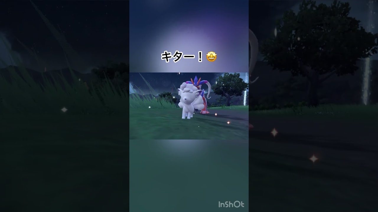 【ゼロの秘宝/碧の仮面】　孵化厳選でアローラロコンの色違いをゲット！サンドイッチ14回も食べた🥪💦苦戦したけど可愛すぎる🥹💞　【ポケモンSV/PokemonSV】