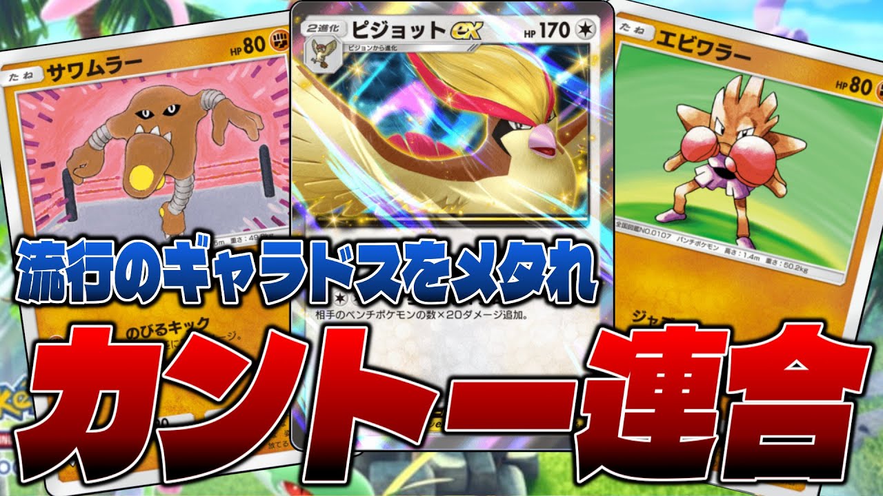 【ポケポケ】流行りのギャラドスをメタるためエビワラーとサワムラーを両採用したピジョットデッキでメンチ切るせう【サワムラー/エビワラー/ピジョットex】