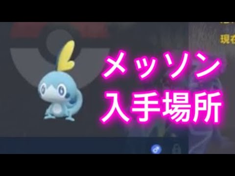 【ポケモンSV】【藍の円盤】メッソン入手場所