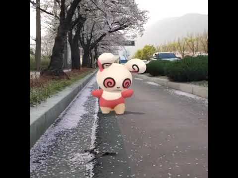 얼루기 ( Spinda ) パッチール ( 晃晃斑 )