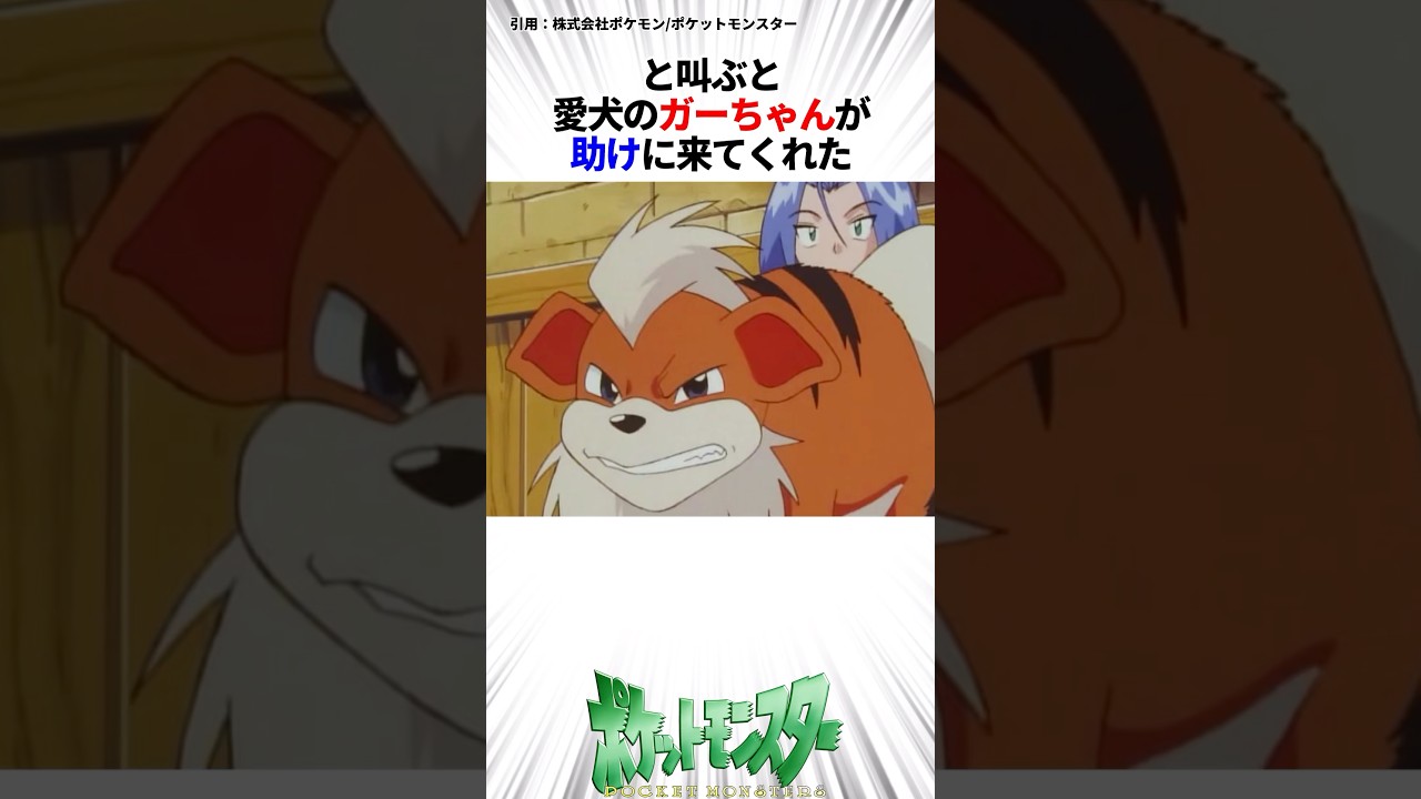 【㊗️200万！再生】ガーディとコジロウ #ポケモン #ポケットモンスター #ポケポケ #ロケット団