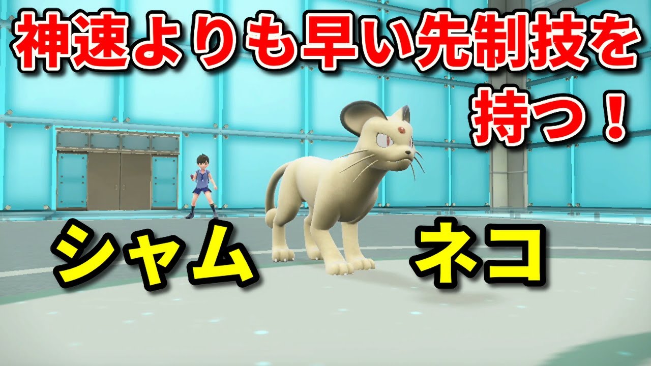 神速よりも早い「ペルシアン」を活躍させたい！【ポケモンSV】