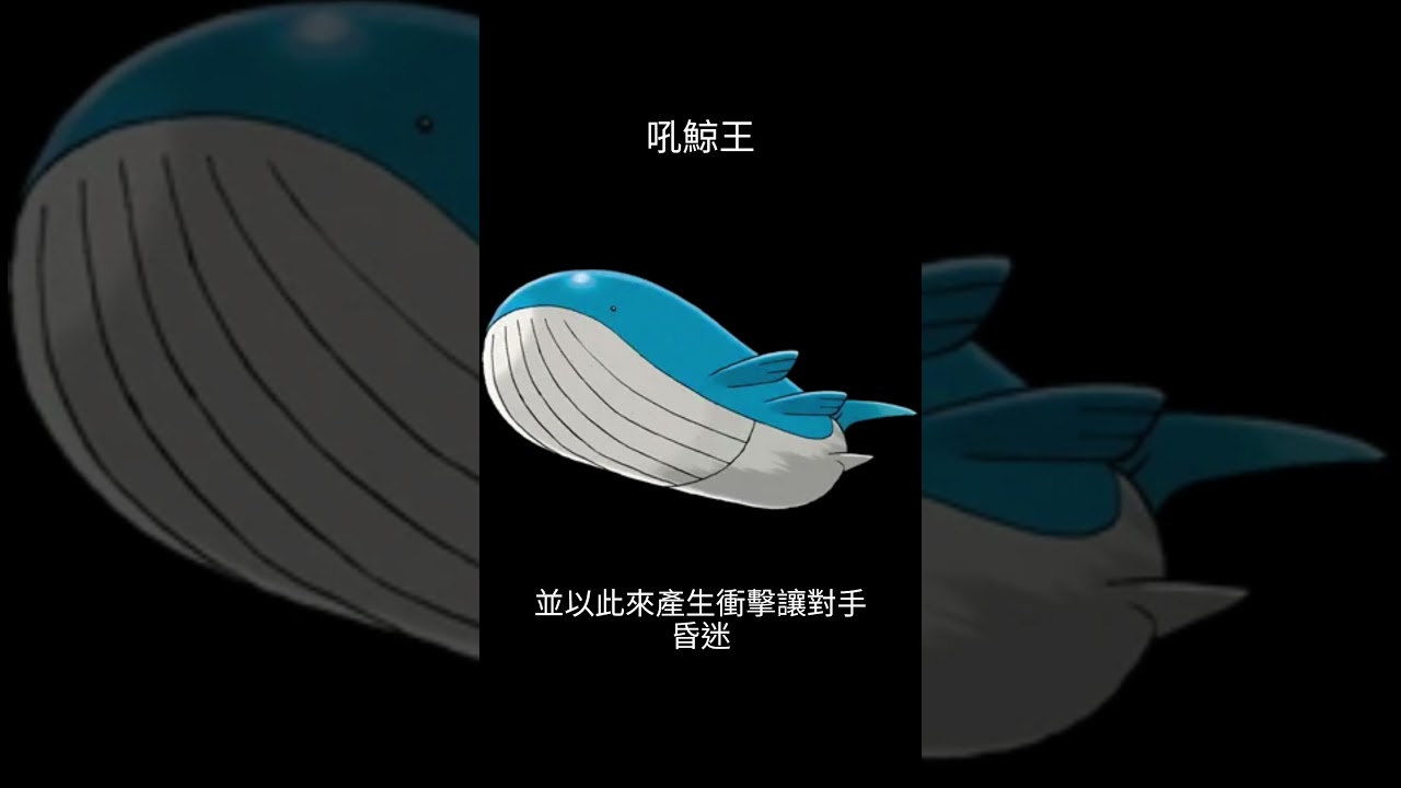 寶可夢圖鑑 #pokemon No.0321 吼鯨王 ホエルオー Wailord #0321 #寶可夢卡牌 #pokemongo #寶可夢 #shorts #神奇寶貝 #寶可夢紅寶石藍寶石 #第三世代