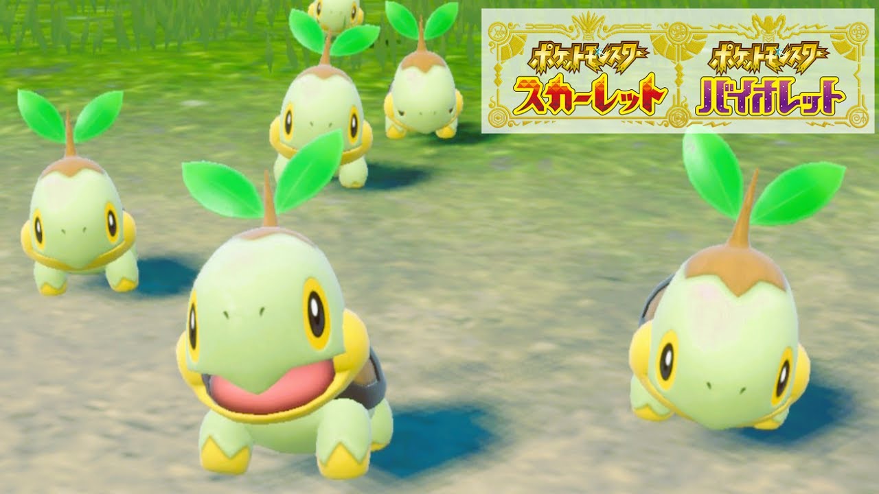 【可愛い】ナエトル６匹に囲まれて癒されピクニック【ポケモンSV】