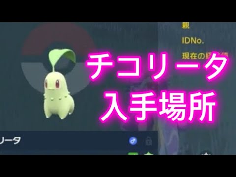 【ポケモンSV】【藍の円盤】チコリータ入手場所