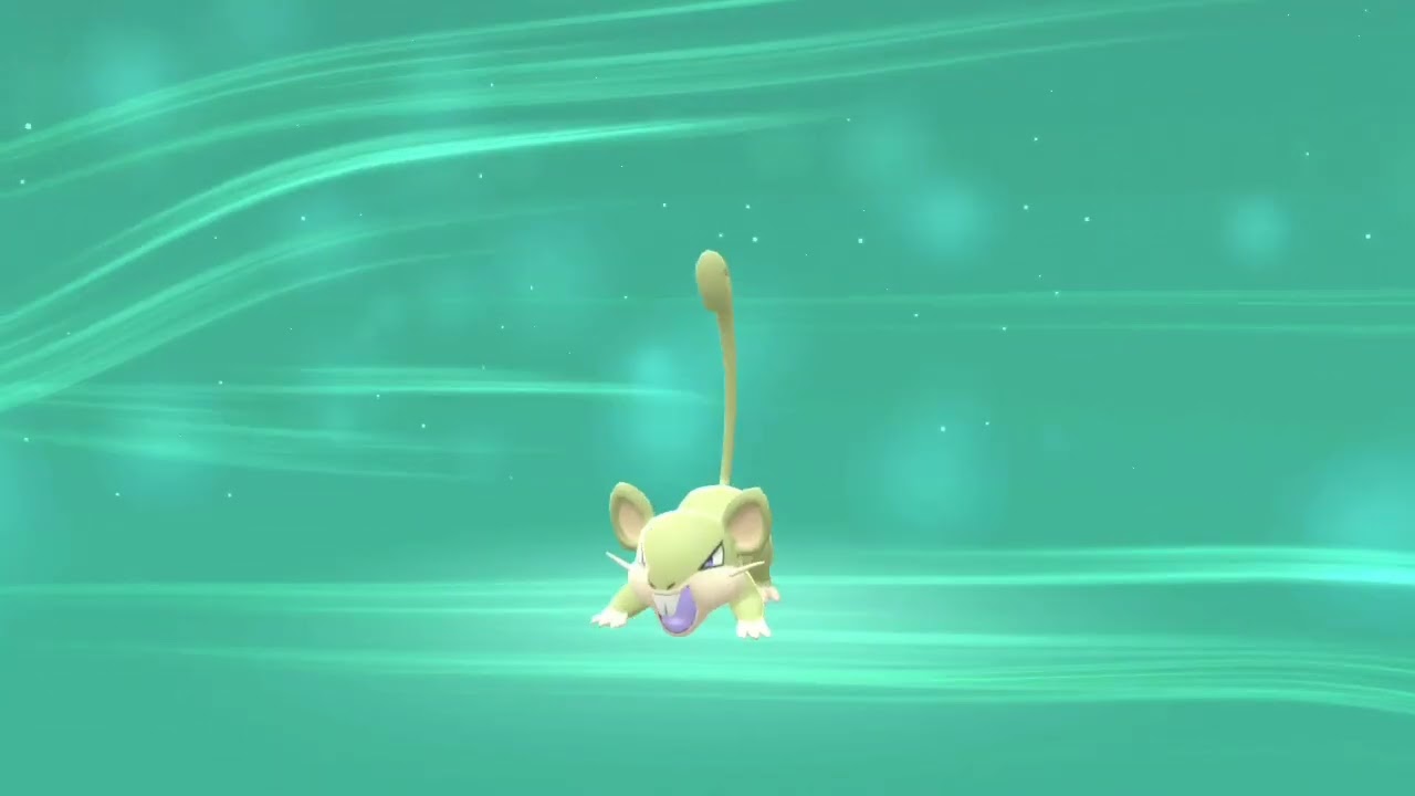 色違いコラッタ進化【BDSPVersion】コラッタ、ラッタ