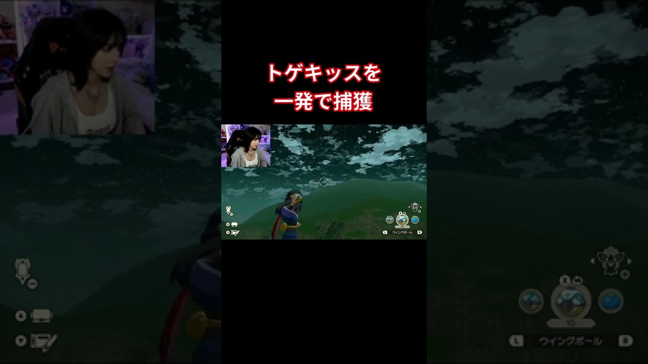 飛んでるトゲキッスはこうやって捕まえます 【Pokémon LEGENDS アルセウス】 #Shorts