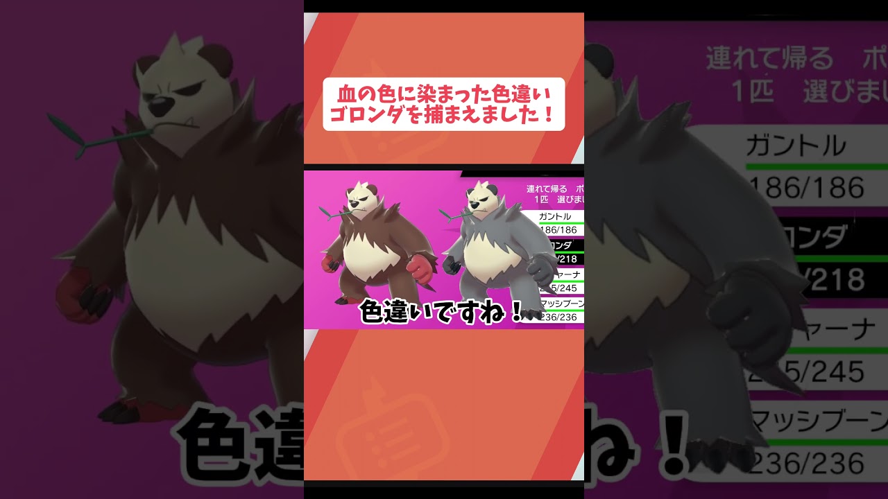 血の色に染まった色違いを捕まえました... #ポケモン剣盾 #ゲーム配信 #ゲーム配信者 #ポケモン #ポケモンsv #ポケモン色違い #ポケットモンスター #pokemon #色違い厳選 #ゴロンダ