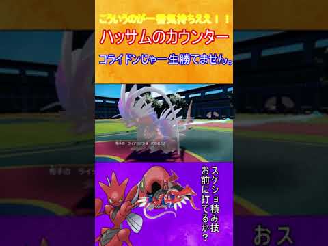 【ポケモンSV】ハッサムのカウンターでコライドンを倒して気持ちよくなってる人の動画を新年に捧げます。
