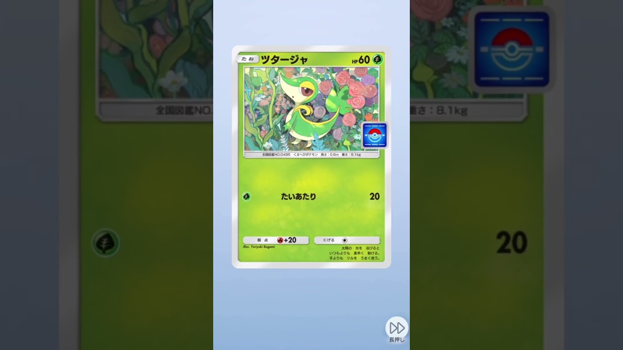ツタージャ出すぎて萎える#ポケポケ #ポケポケ開封チャレンジ