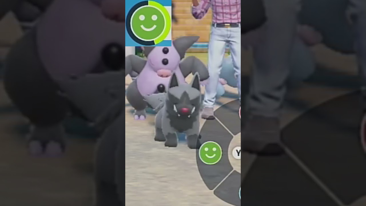 【ポチエナ】ポケモンエクササイズ【キタカミ図鑑No.7】#Shorts #pokemon