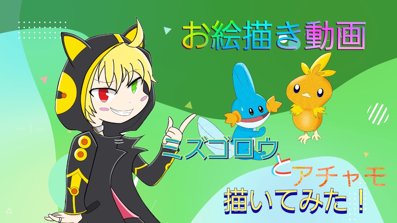 ミズゴロウ　アチャモ　タイムラプス