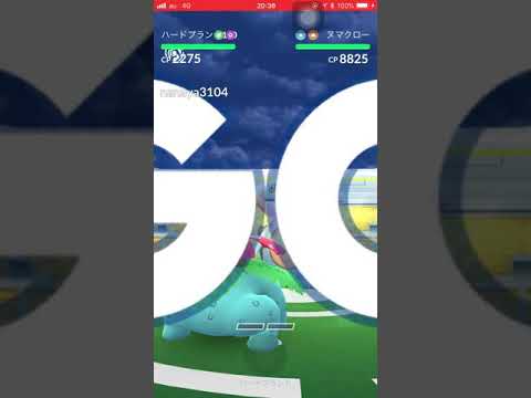 ポケモンGO ソロレイド ヌマクロー