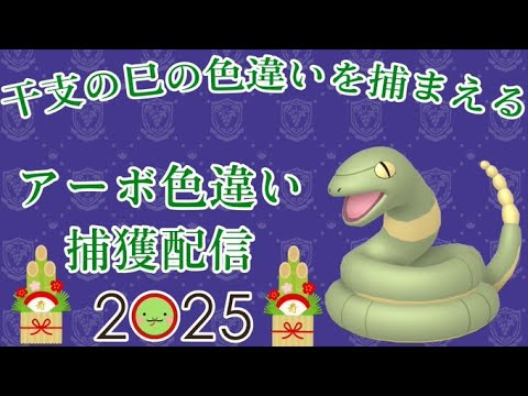 2025年の運試し！干支の色違い捕まえるポケモンSV配信