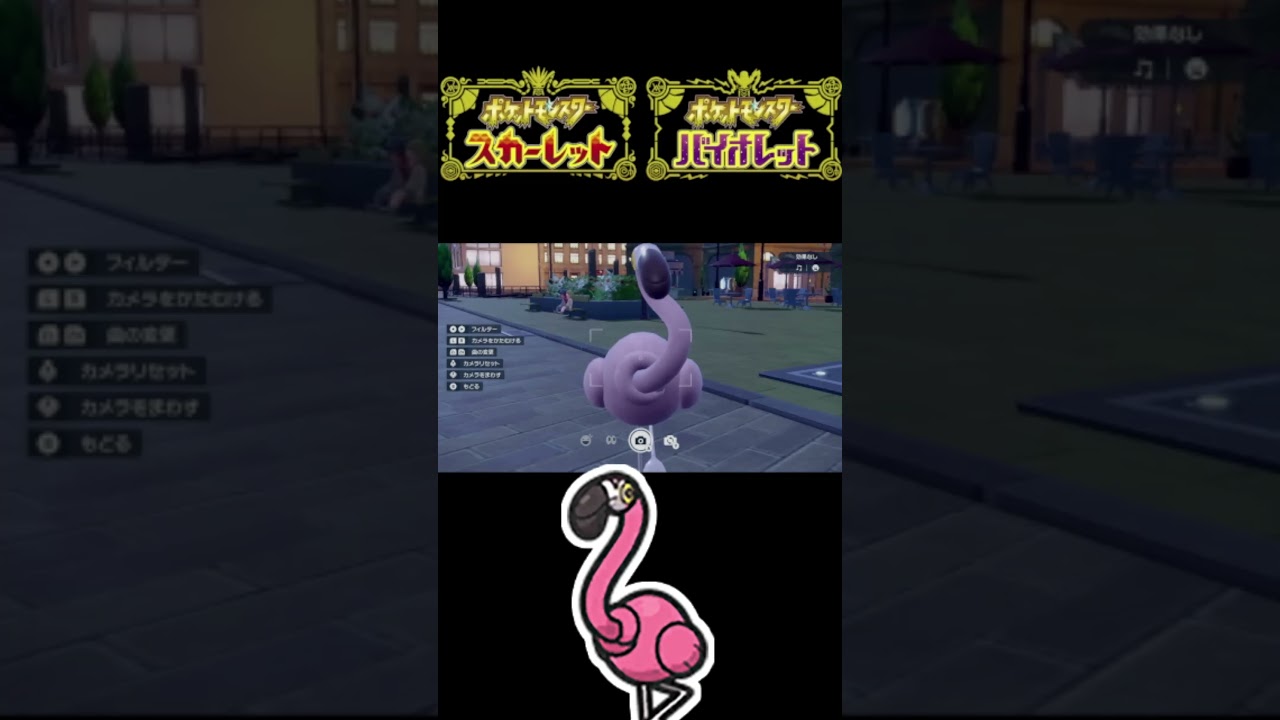 【2025年初の色違い】グレッグルとカラミンゴ【ポケモンSV】#shorts