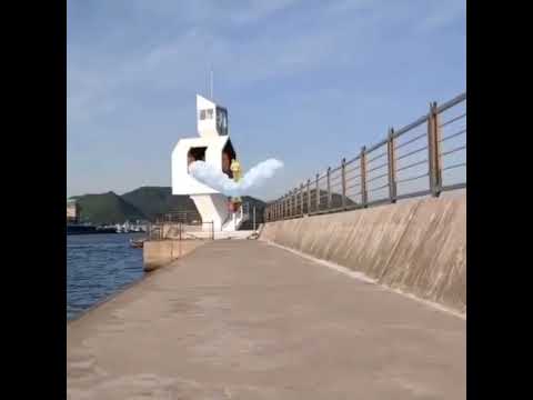 파비코리 ( Altaria ) チルタリス ( 七夕青鳥 )