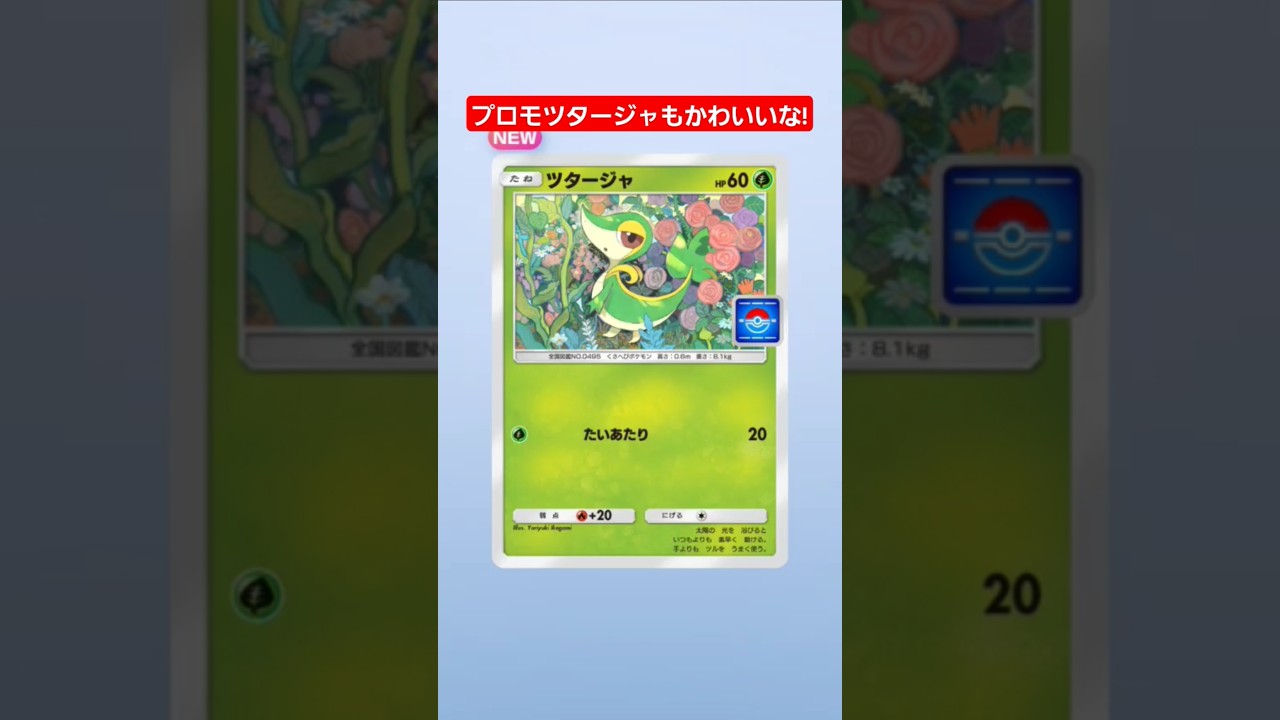 プロモツタージャもかわいいな! #ポケモンカード25周年 #shorts
