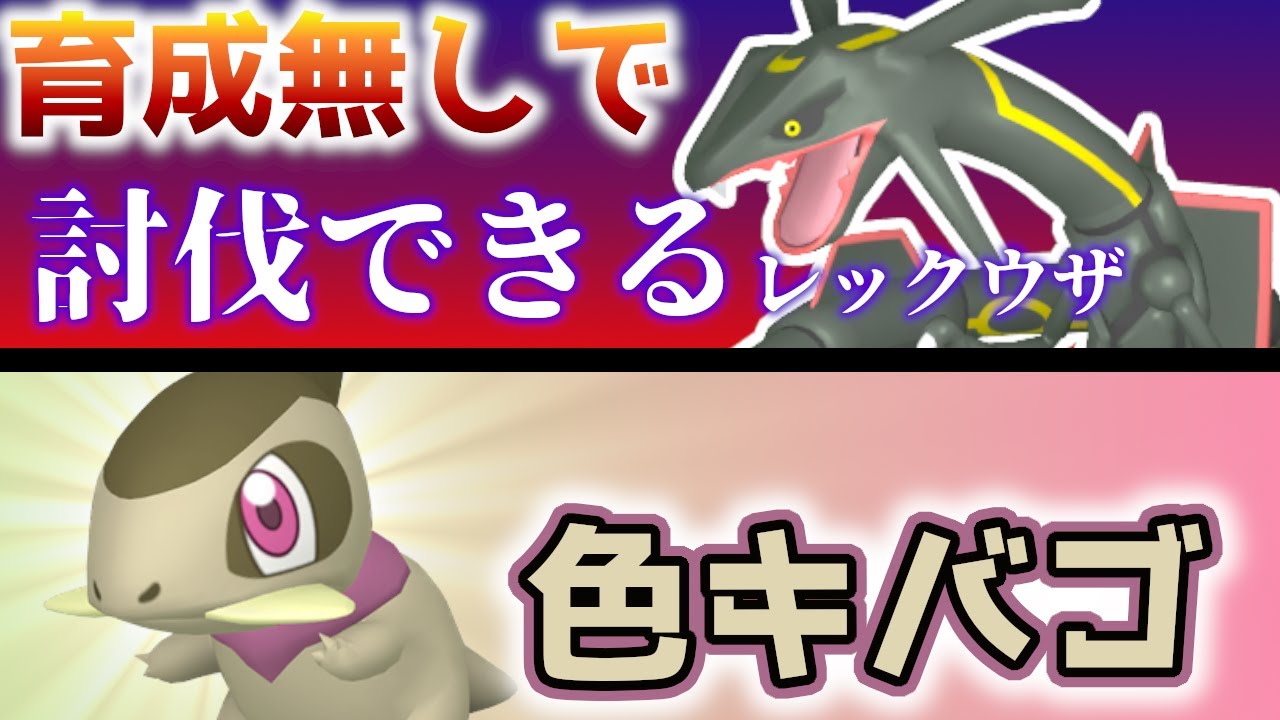 【初配布！】 育成なしで討伐できる色レックウザ ＆ 色キバゴ 色レイド配布 shiny raid 【ポケモンSV】#参加型配信