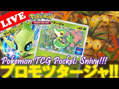 【🔴LIVE】【ポケポケ】新プロモツタージャデッキで遊んでいこう!!『ツタージャ x セレビィ x ナッシー』【Pokemon TCG Pocket】【ポケポケ】