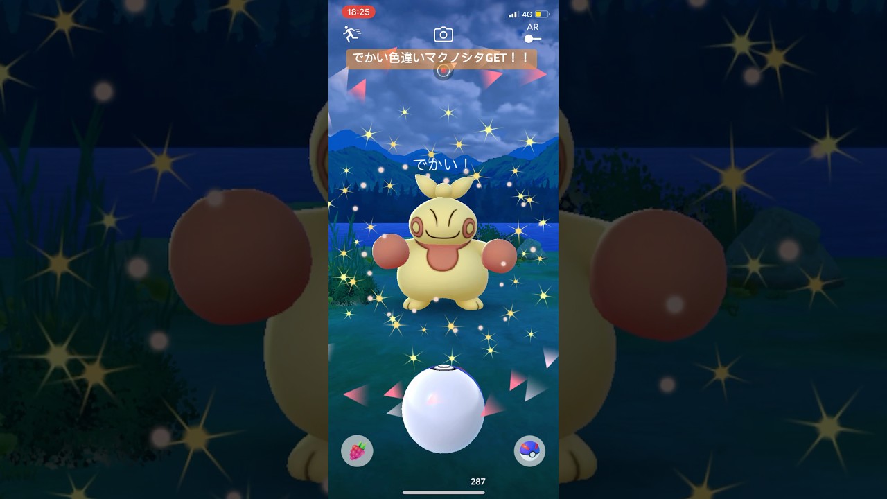 ポケモンGOでかい色違いマクノシタGET！！！#ポケモン #ポケモンgo #pokemongo