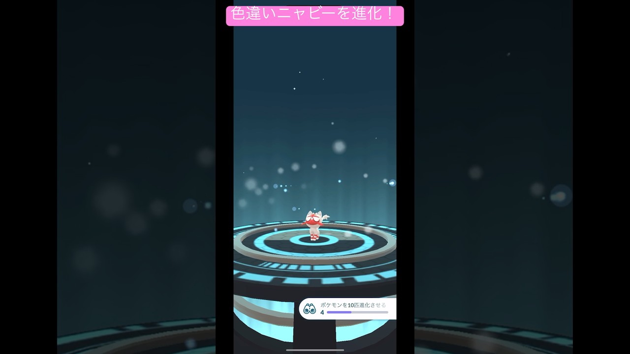 色違いニャビーを進化させる！#shorts #short #pokemon #pokmongo #ポケモン #ポケモンgo